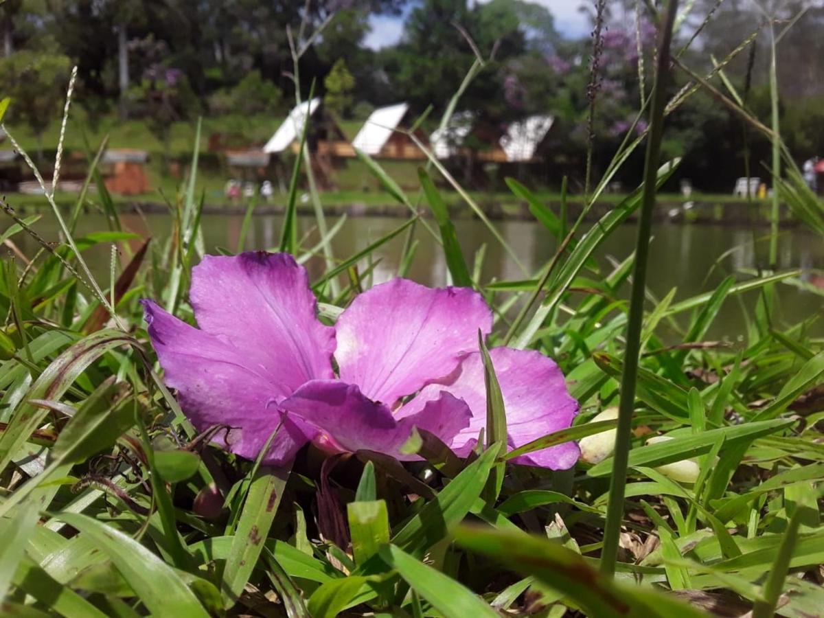 Pesqueiro E Pousada Rota Do Sol 莫日-达斯克鲁济斯 外观 照片